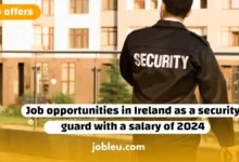 Exploring Job Opportunities for Security Guards in Ireland with a 2024 Salary Outlook