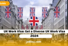 UK Work Visa: Get a Diverse UK Work Visa 2024