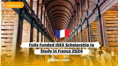 Fully Funded IDEX Scholarship to Study in France 2024: A Comprehensive Guide