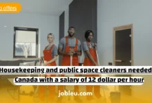 Housekeeping and Public Space Cleaners Needed in Canada: Opportunities with a $12 per Hour Wage